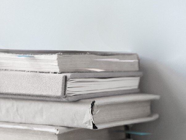 Как изменится налоговый контроль в Казахстане с 2026 года: СУНР, проверки и риски